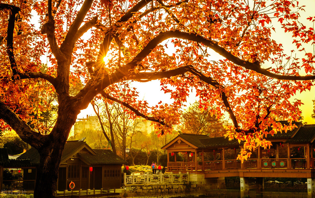 部编版九上语文目录,送东阳马生序原文