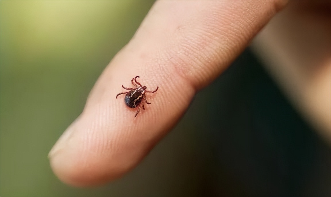 苗疆是否真的有蛊术,为什么说苗疆蛊术那么邪门