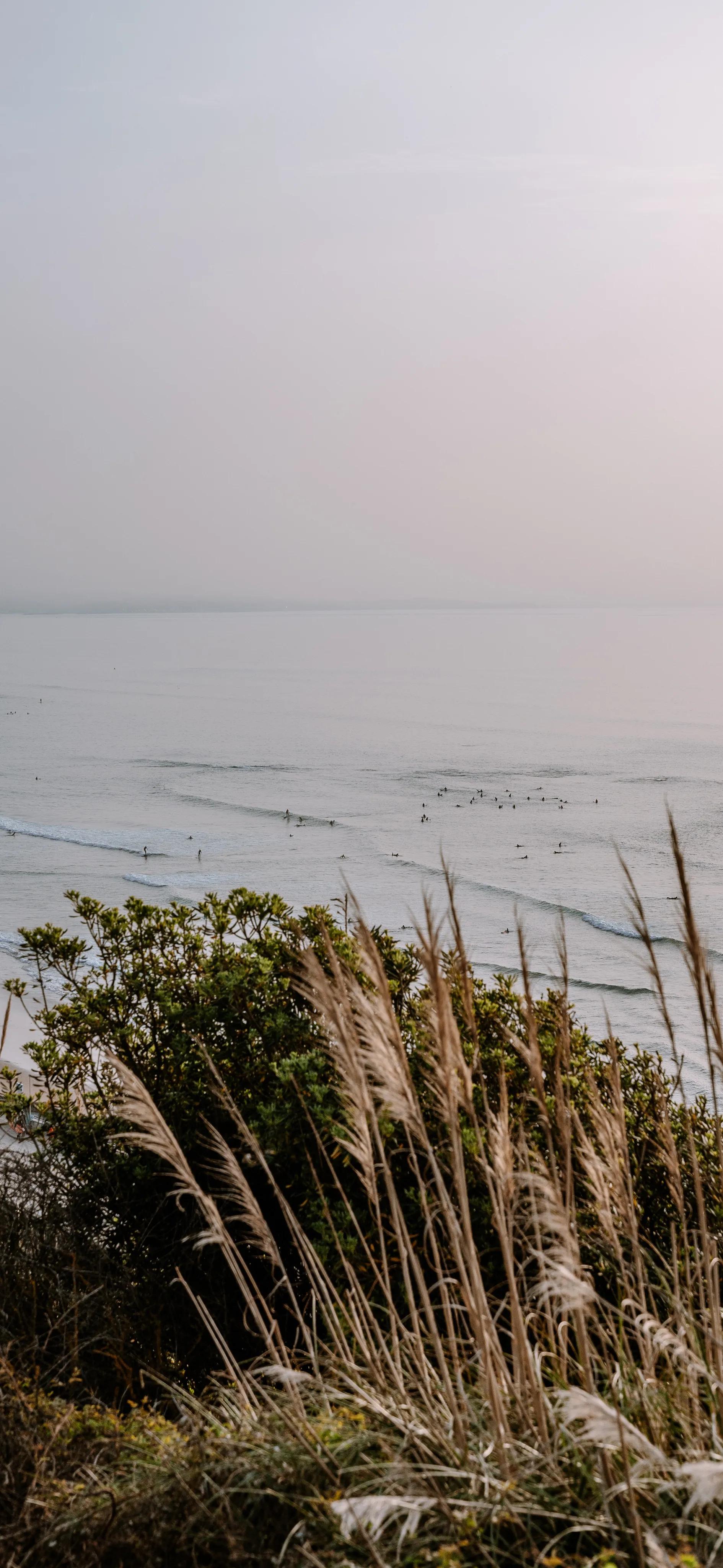 海洋岛屿壁纸高清全屏,海浪沙滩壁纸全屏高清