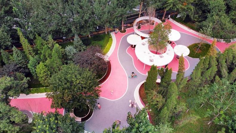 沈阳和平区未来发展,沈阳和平区发展