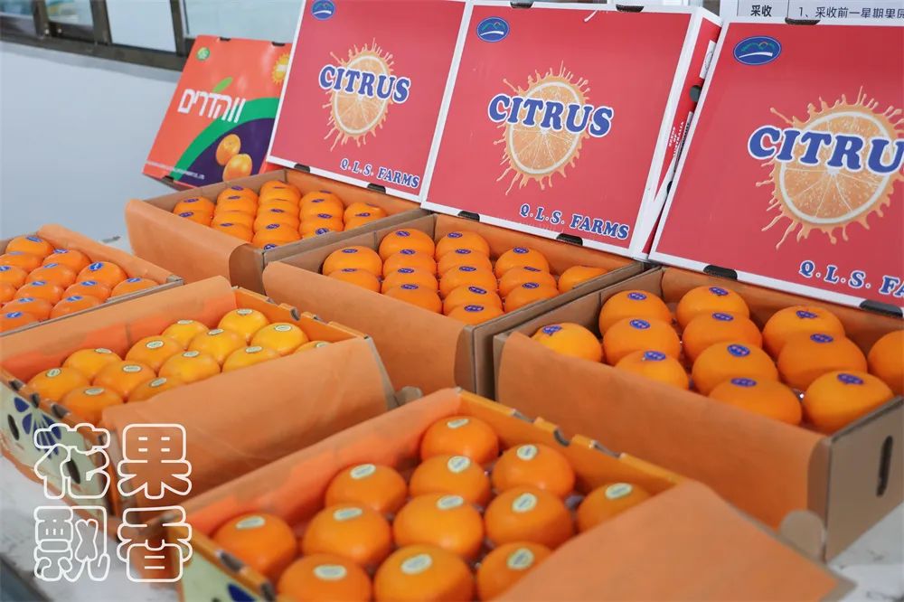 从0.6元到4元,优质优价能否引领农民种好果?