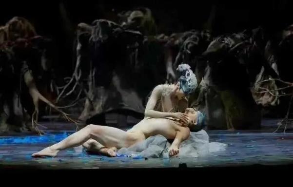 金星老师质疑爵士舞的表演,金星评价钢管舞