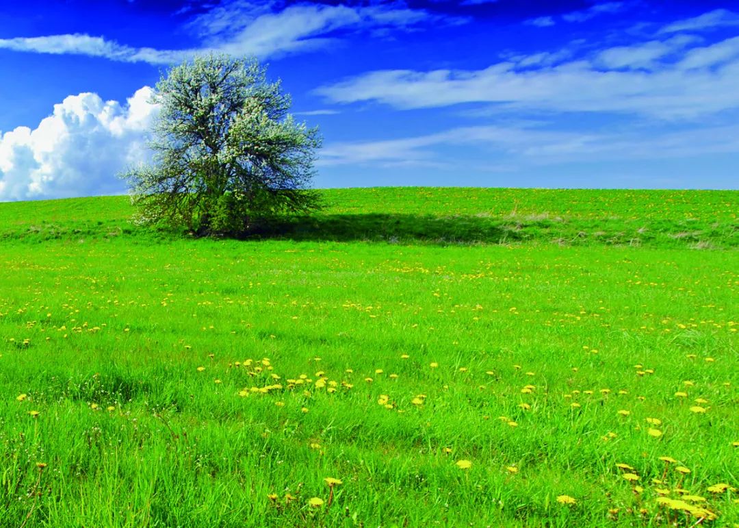 极简风光摄影拍摄技巧,如何拍出风光摄影大片