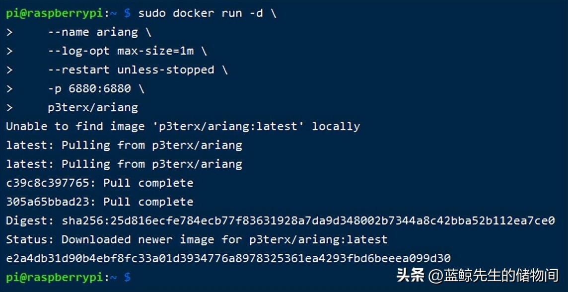 树莓派装docker,docker搭建个人网站树莓派