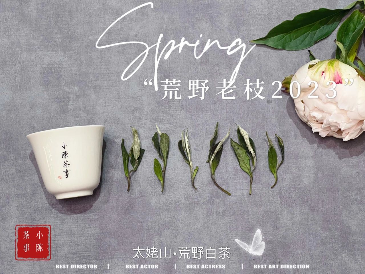 绿茶乌龙茶普洱茶怎么喝才适合,白茶红茶绿茶哪个更好喝一点