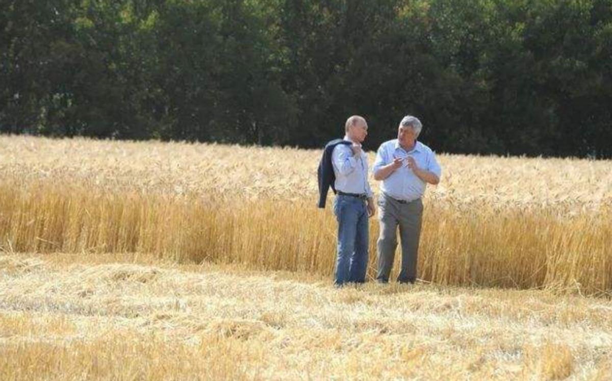 中国2022进口俄罗斯小麦多少钱,我国小麦产量