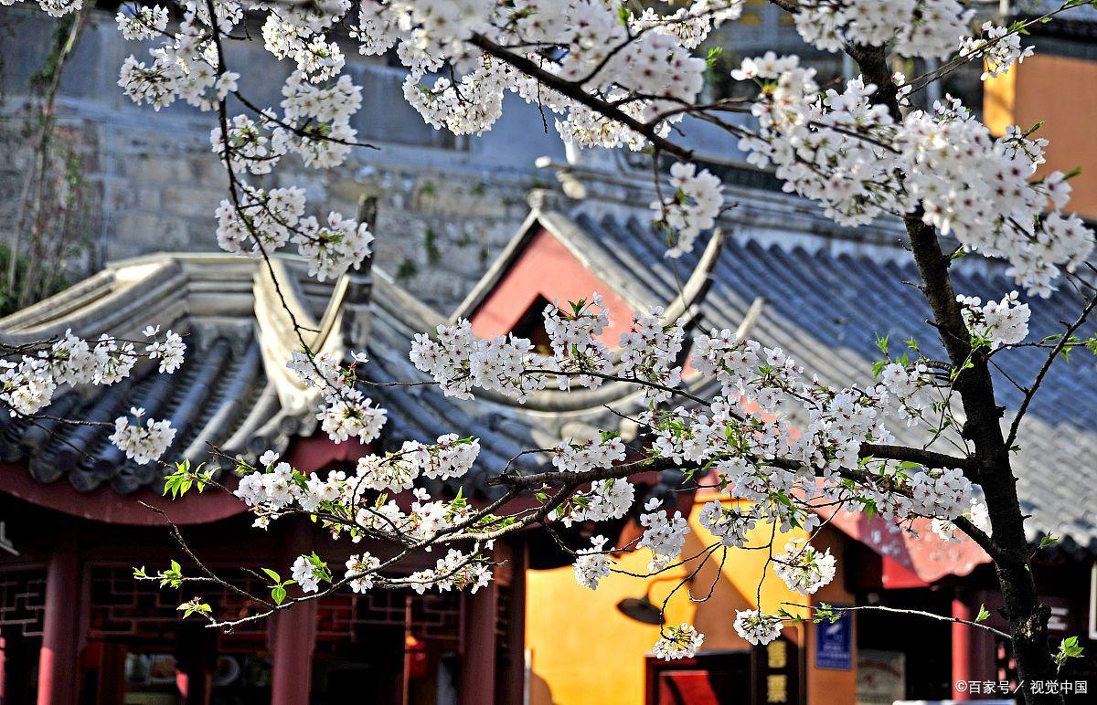 南京著名的寺庙有哪几个,南京三座最美的寺庙