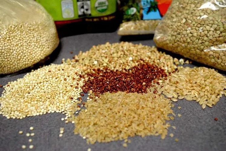 淀粉来源和糊化度对肉鸡生产性能和小肠消化的相互作用