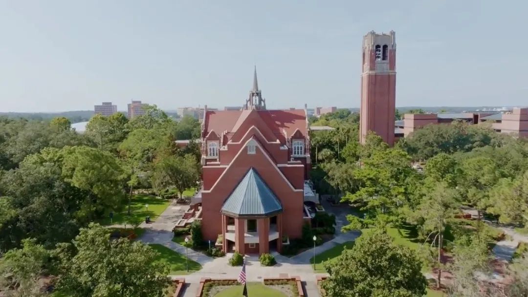 恭喜C同学喜获佛罗里达大学Offer近距离感受“公立常春藤”的魅力