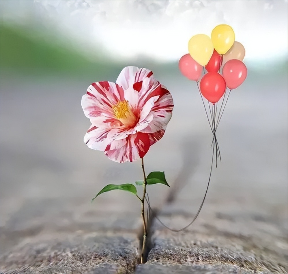 可以分享一句你一直收藏的句子吗,分享一句收藏很久的句子