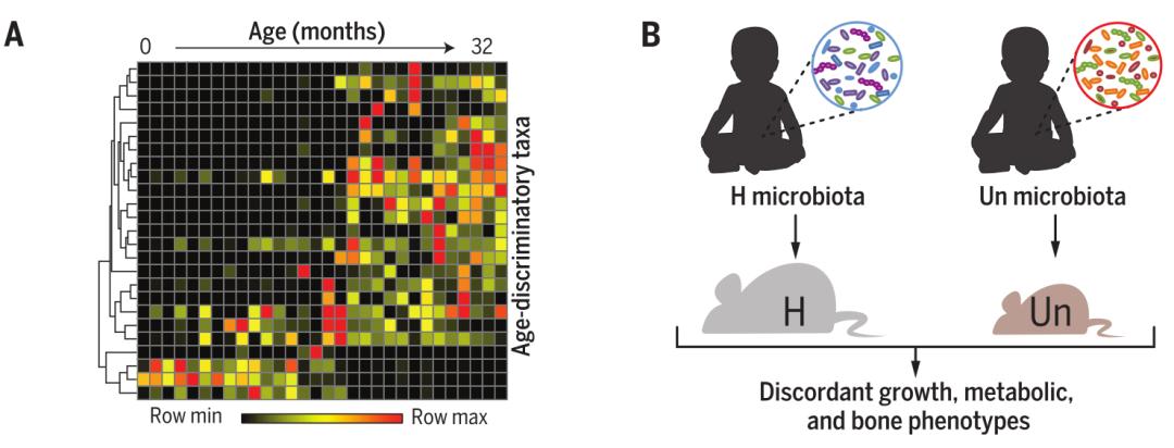 营养不良发育迟缓怎么办,宝宝发育迟缓营养不良不开口说话