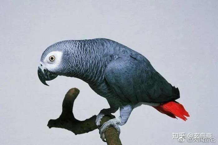 山海经2012白话全译彩图版pdf,山海经海外西经是指哪里