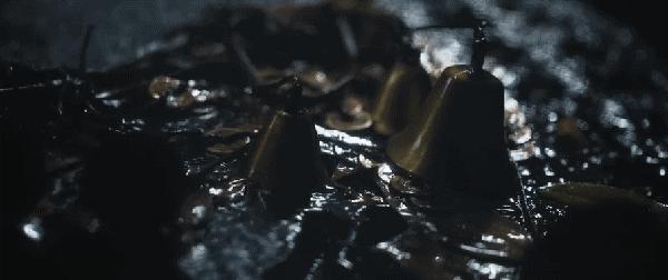 本以为是烂片的电影,纸人回魂陈紫函饰演的谁