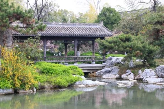 阜阳攻略夏天景点推荐,阜阳夏天游玩攻略路线