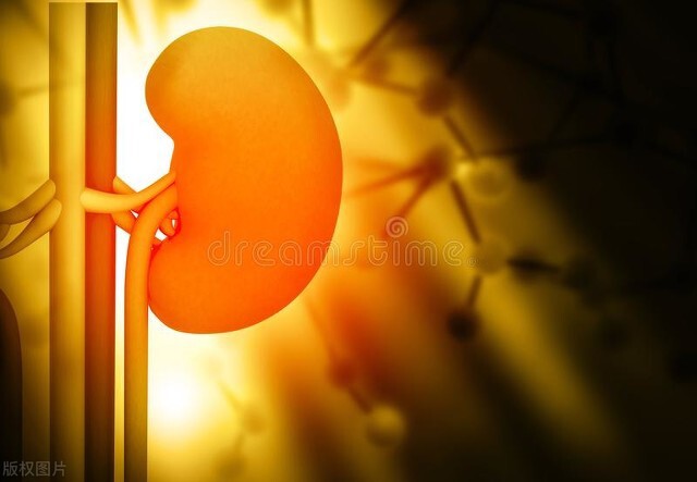 人少了一个肾，对身体危害大吗？9年前卖肾买手机的少年后悔了没