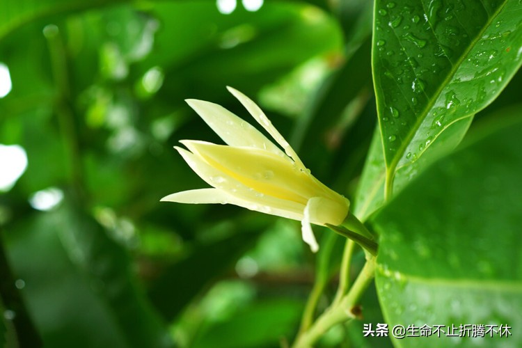 父母不知道自己的孩子多优秀,家人觉得自己孩子不成才