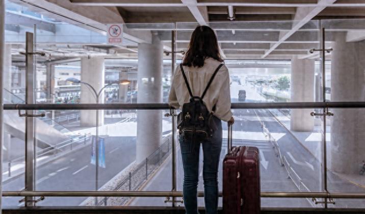 袁莉的狂妄行径：揭秘她如何成为全球闻名的丑角