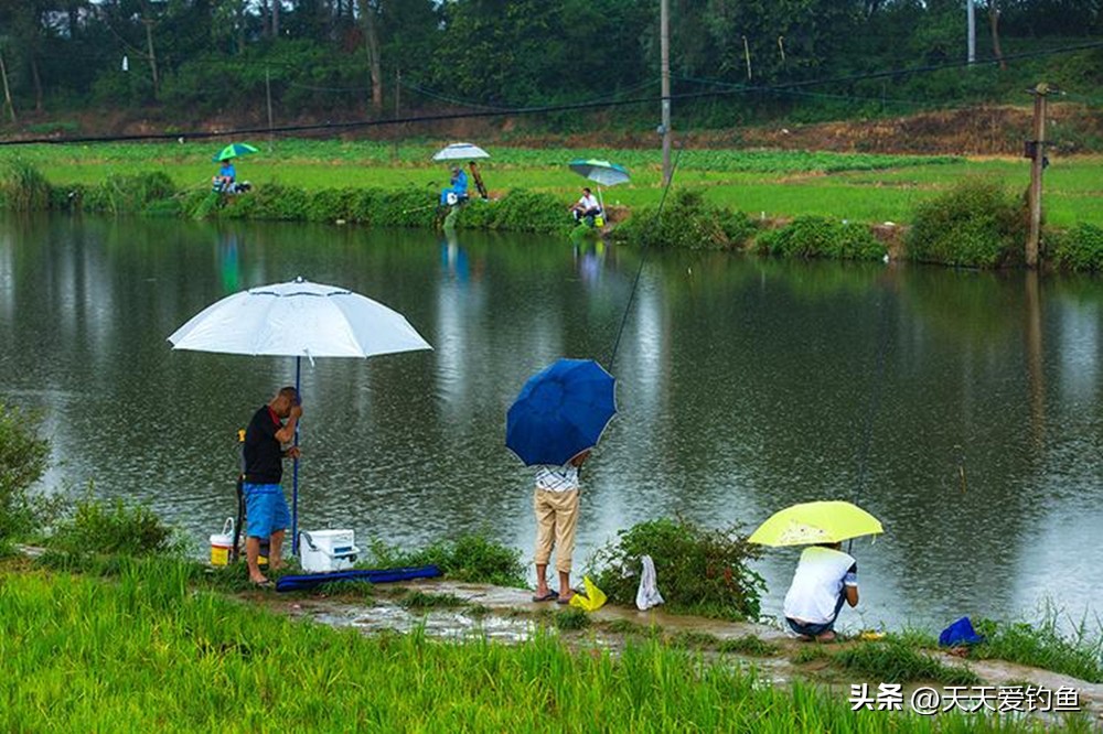 什么天气鱼比较活跃好钓,夏季什么风向鱼最难钓