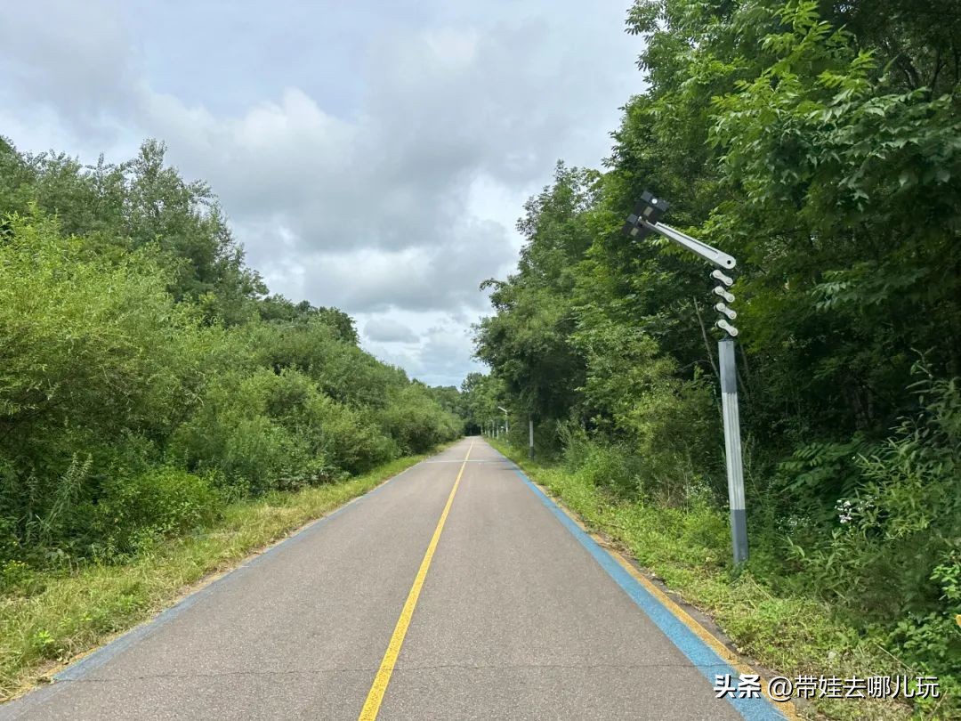 长白山二道白河旅游攻略7月游,自驾二道白河长白山旅游攻略