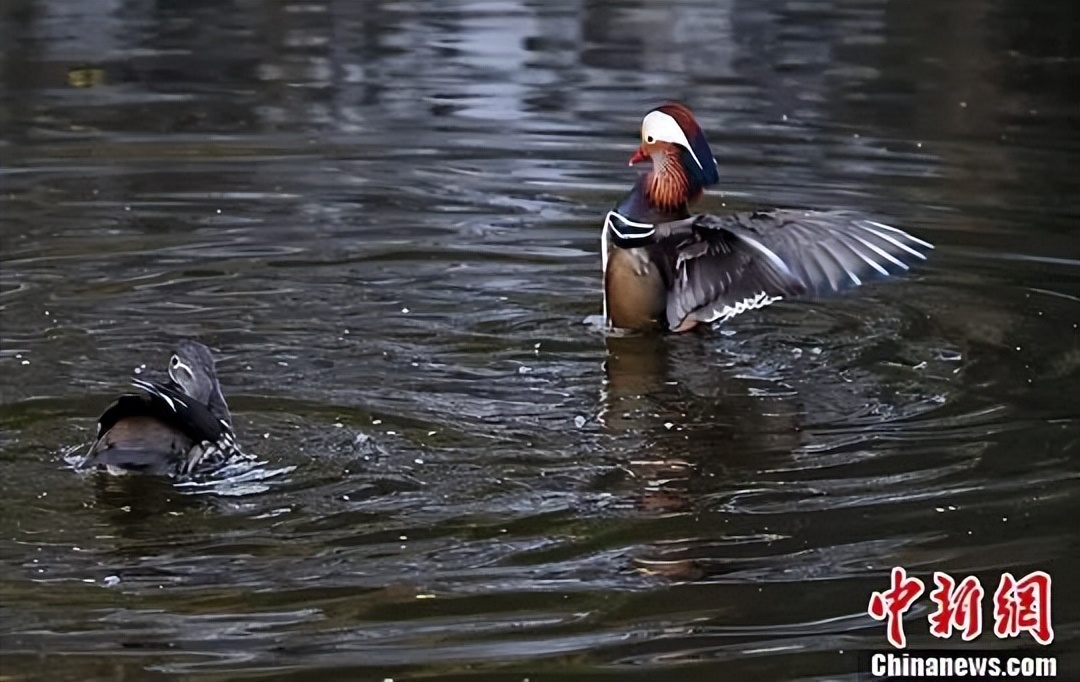 二十四节气从立春开始到大寒,二十四节气歌立春大雪