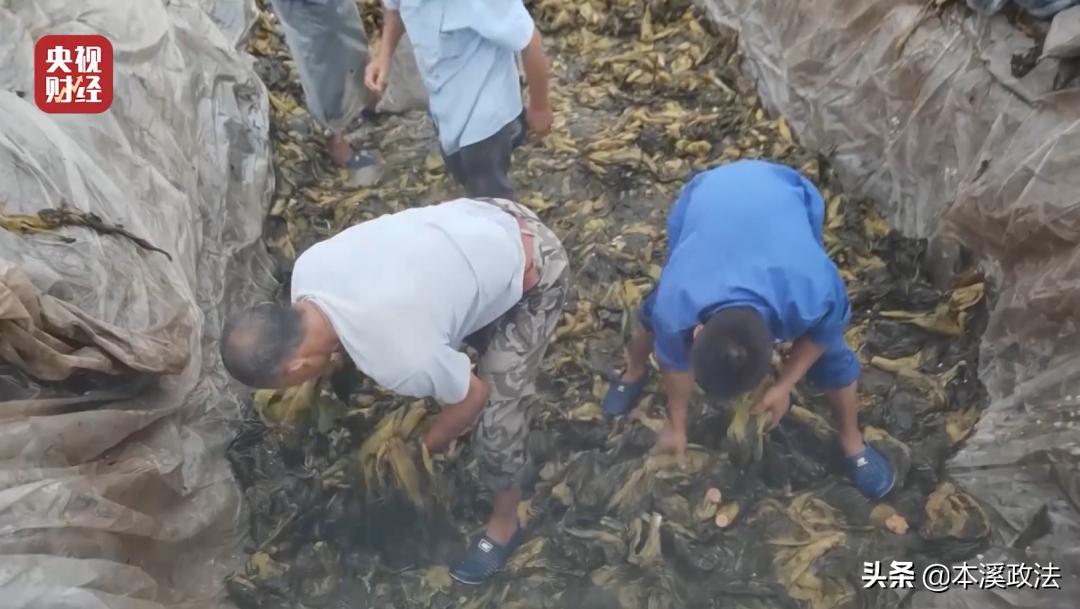 看完315晚会的感想,每晚315晚会有感