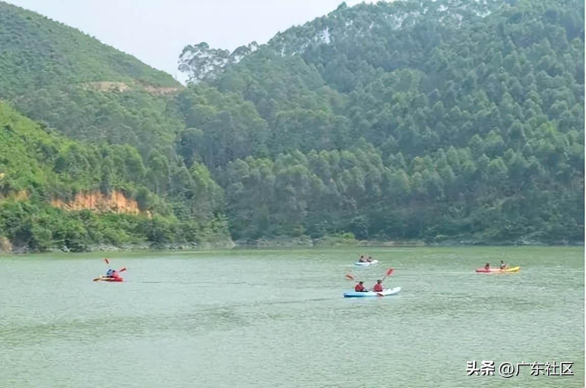 春季国内观鸟热门地,这份观鸟地图请收好