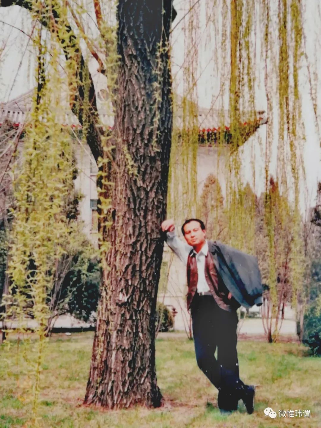 中南海印象原创:贺玮