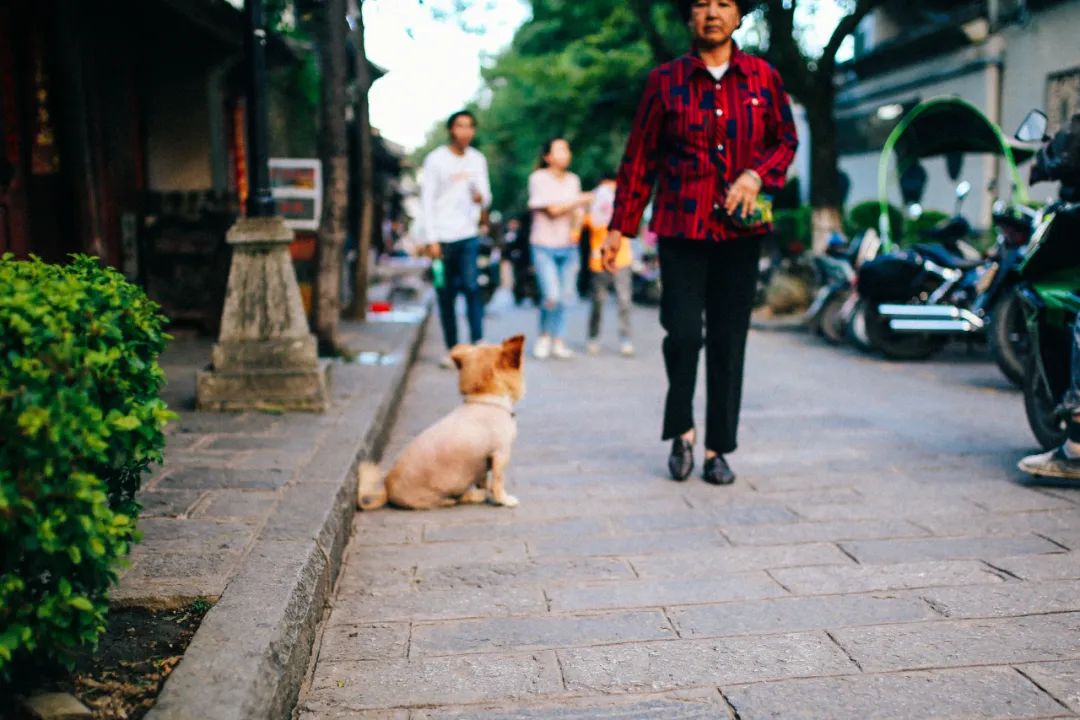 一起去有风的地方夏天,一起去有风有海的地方