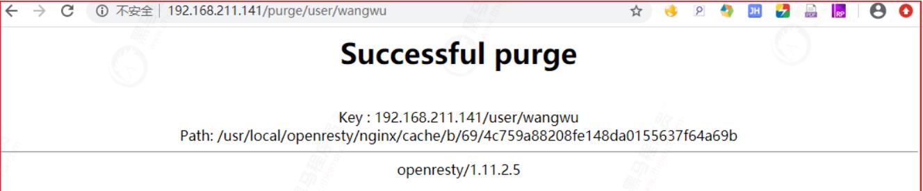 亿级流量红包雨缓存实战