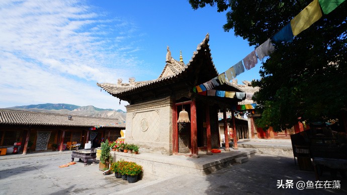 82战疫·甘：妙因寺、雷坛——永登连城镇