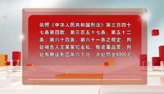 阳光检察院以案释法,阳光检察以案释法