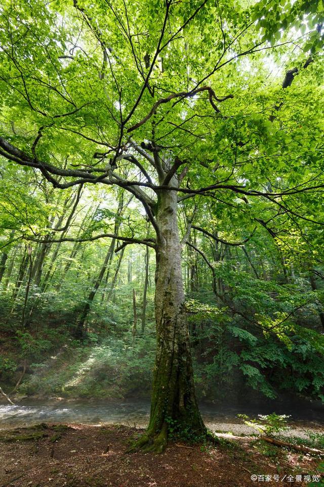 家庭资产规划,最好的家庭资产配置方法