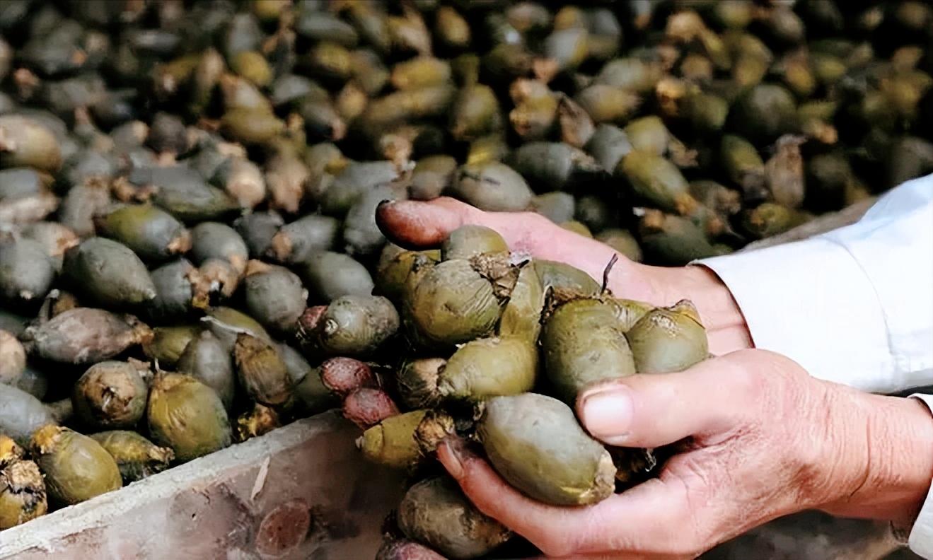 目前槟榔行业给湖南带来多少税收,槟榔全面禁售对湖南有影响吗