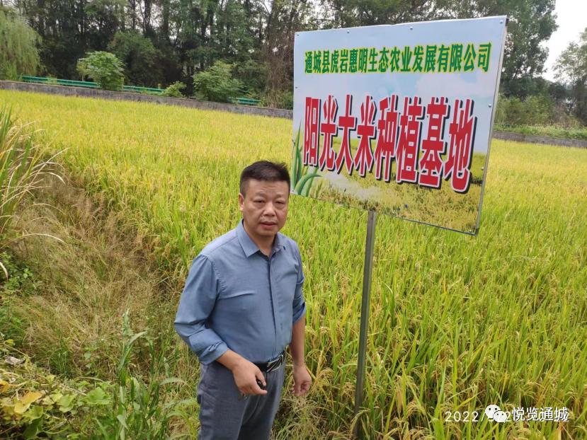 通城石南镇虎岩村,通城县虎岩镇