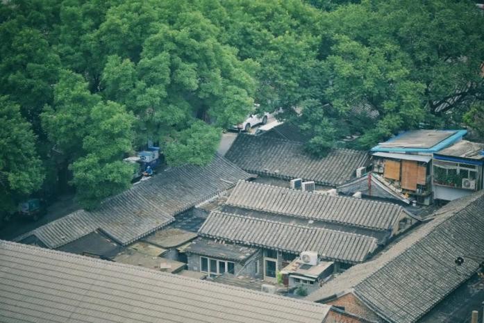 中国最宜居住的十大城市青岛,中国年轻人向往的十大城市青岛