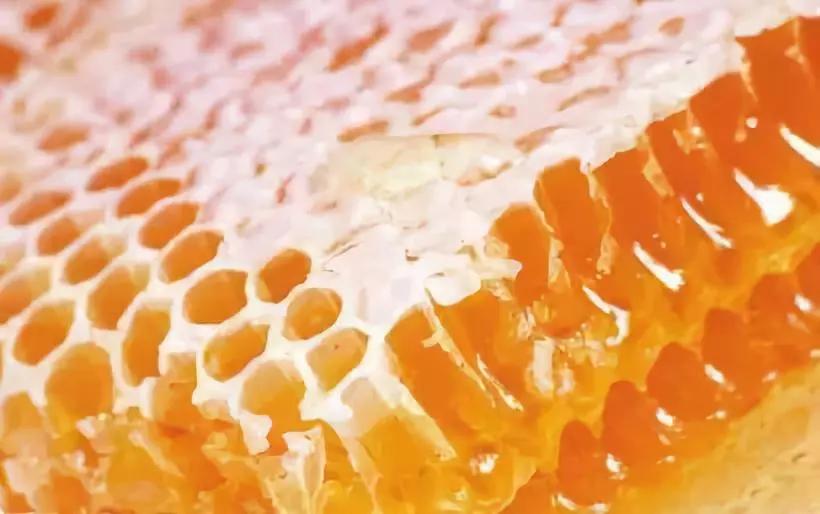 日本资生堂五合一樱花面霜,日本资生堂懒人五合面霜