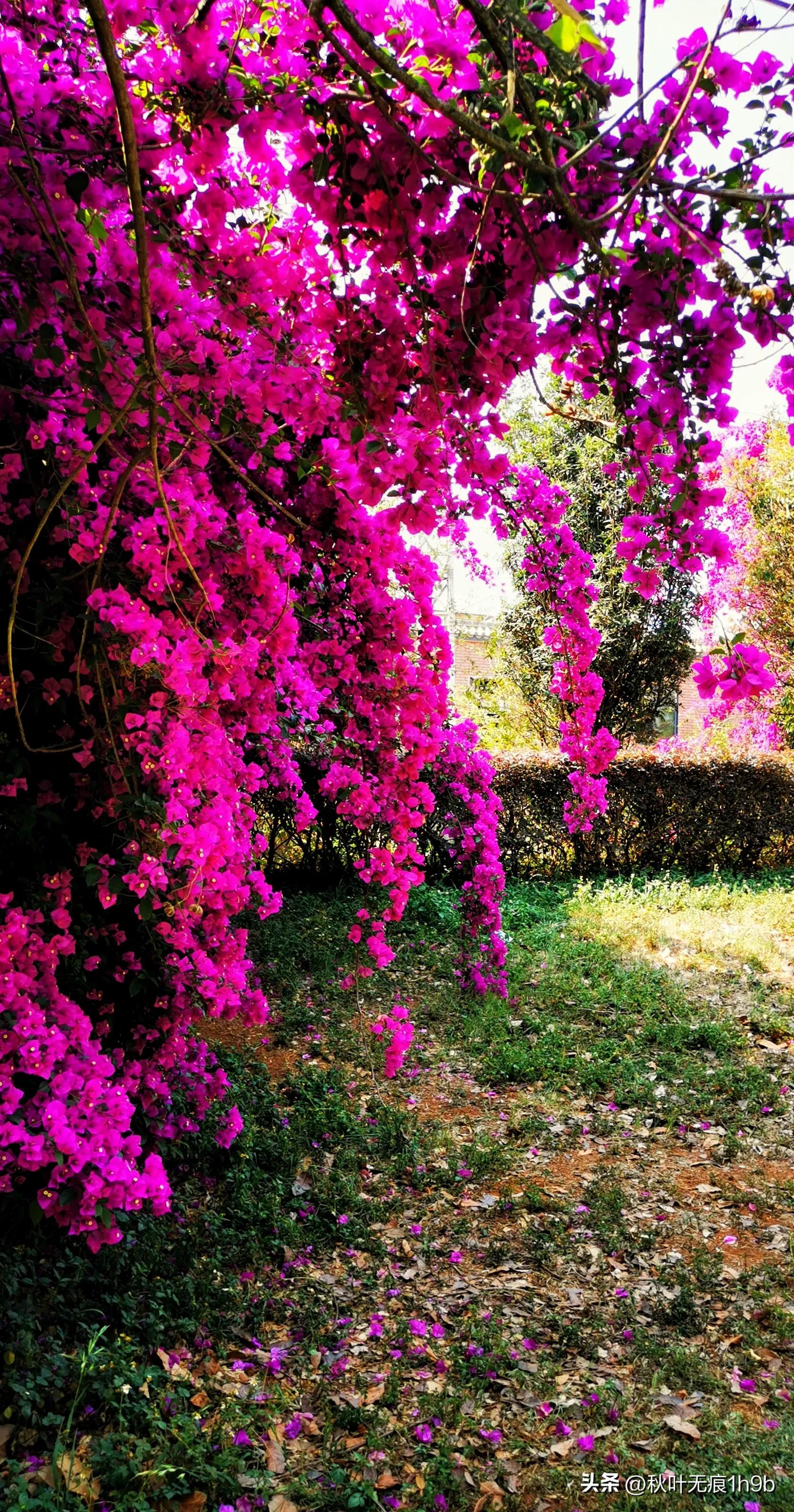 弥勒适合养老居住的镇,弥勒养老旅居