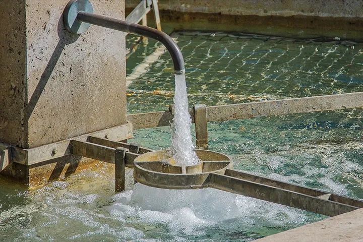 羽绒服销量,2021年羽绒产销