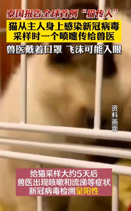 郑州航空港站今日开通运营/天气有变！郑州最新发布/郑州消费券今天又来了/河南公布暑期学生免门票景区名单