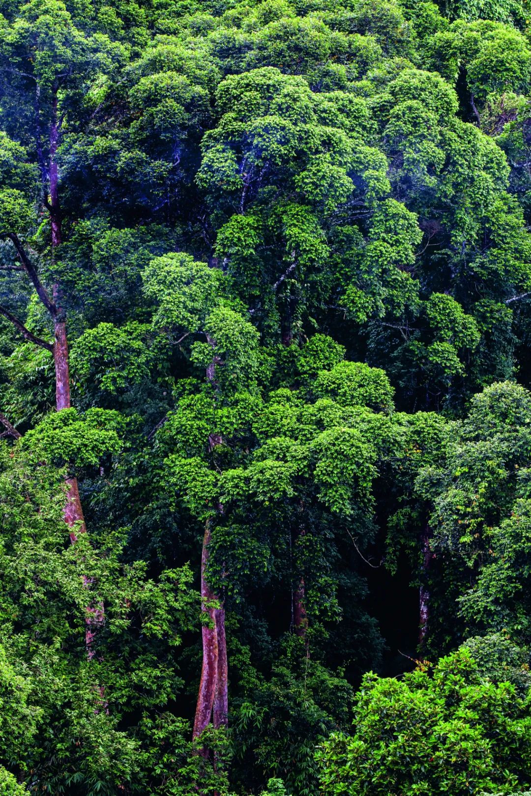 昆明七彩云南怎么样,七彩云南避暑家园