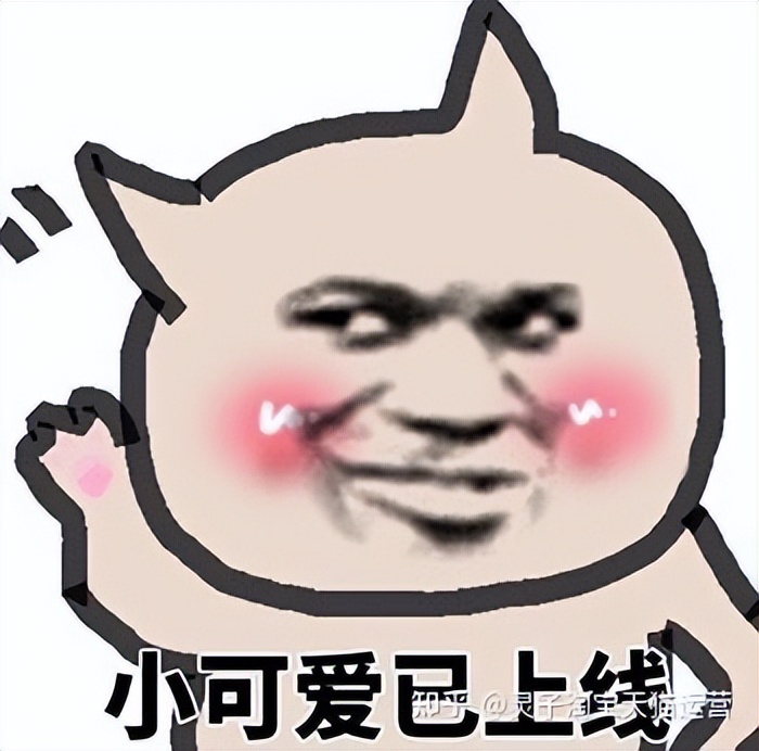 杭州淘宝代运营公司哪家正规,杭州地区淘宝代运营哪家好一点