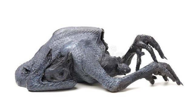 女性月经不调养生茶,女性体寒月经不调