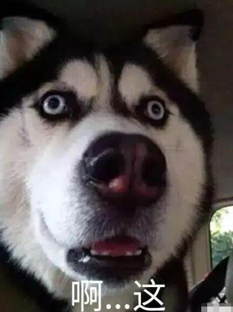 白敬亭被问隐私问题全部,白敬亭被问隐私问题后续