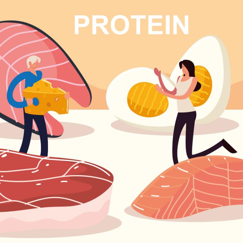 孕妇缺蛋白质怎么补,孕妇每天补充多少肉蛋奶