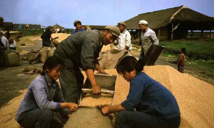 京a88888车主,京a88888车主有多少钱