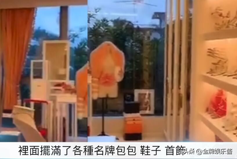 蔡天凤嫁入谭家后突然暴富:买大量的同款包,疑似帮夫家洗钱