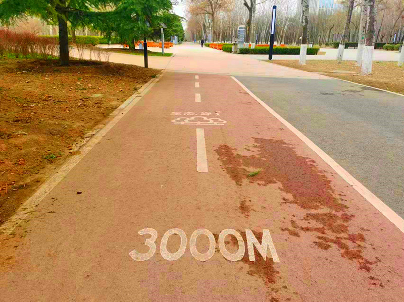 有地铁直达的公园,地铁可达的郊野公园