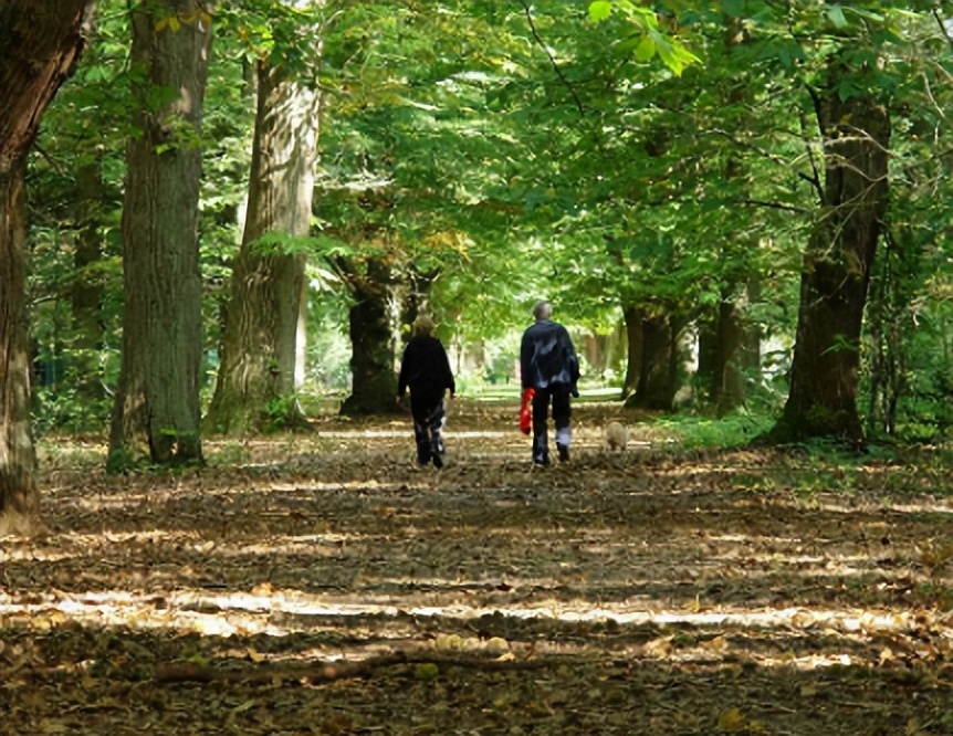 长期散步对身体好吗医生提醒,散步要持续多久才对身体有好处