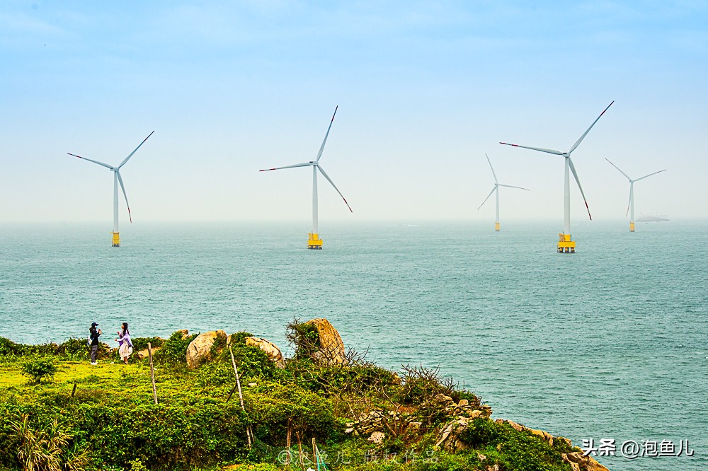 福建蓝眼泪奇观游玩攻略,福建蓝眼泪是哪个旅游景点