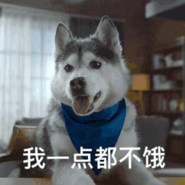 哪些宵夜不会导致发胖,宵夜怎么吃不要长胖